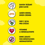 Dreamies Mega Pack 180g Käse